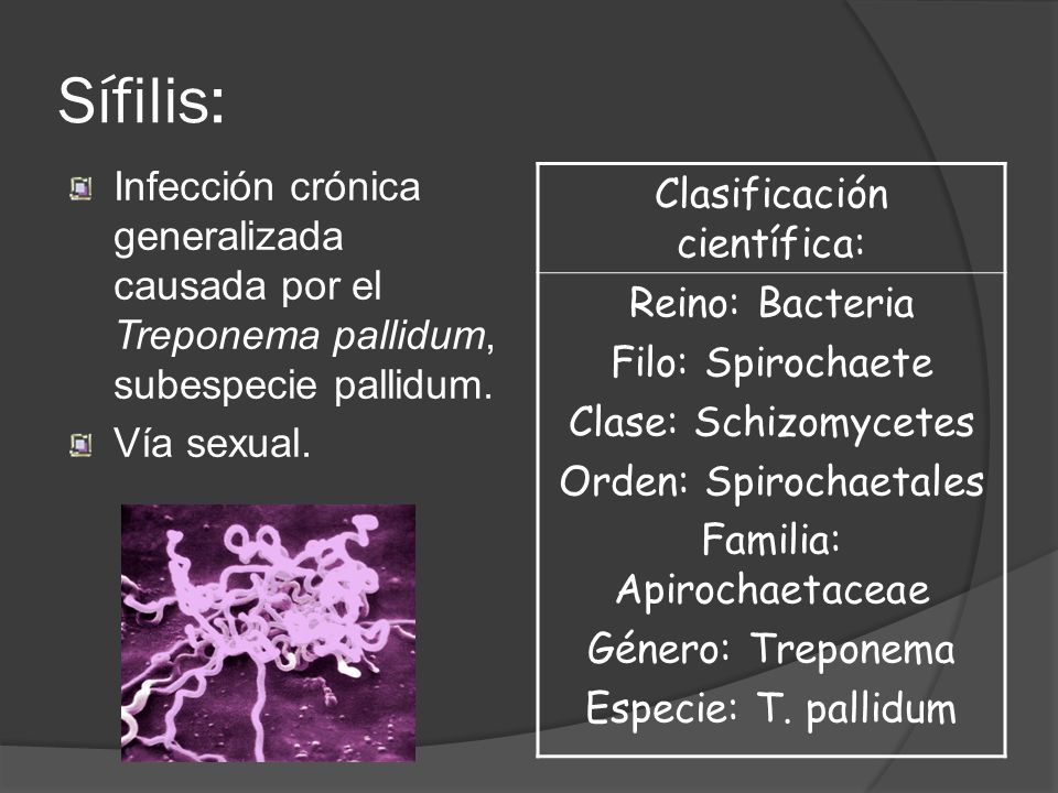 Sífilis: Clasificación científica: Reino: Bacteria Filo: Spirochaete