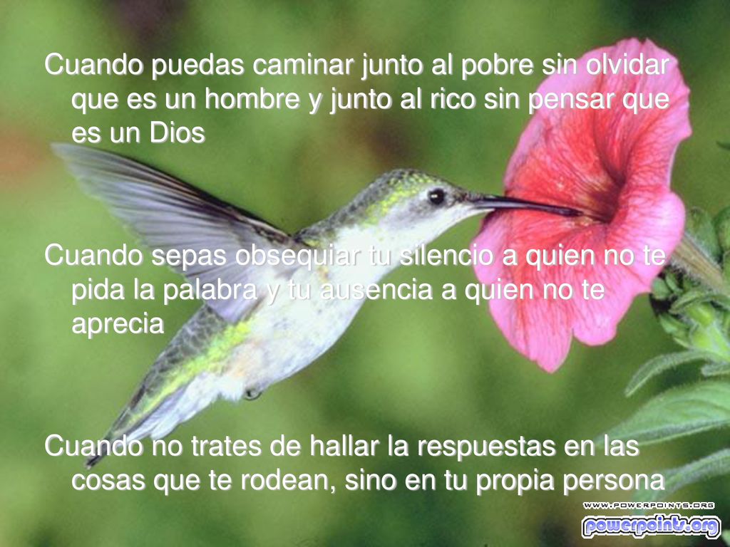 Cuando puedas caminar junto al pobre sin olvidar que es un hombre y junto al rico sin pensar que es un Dios