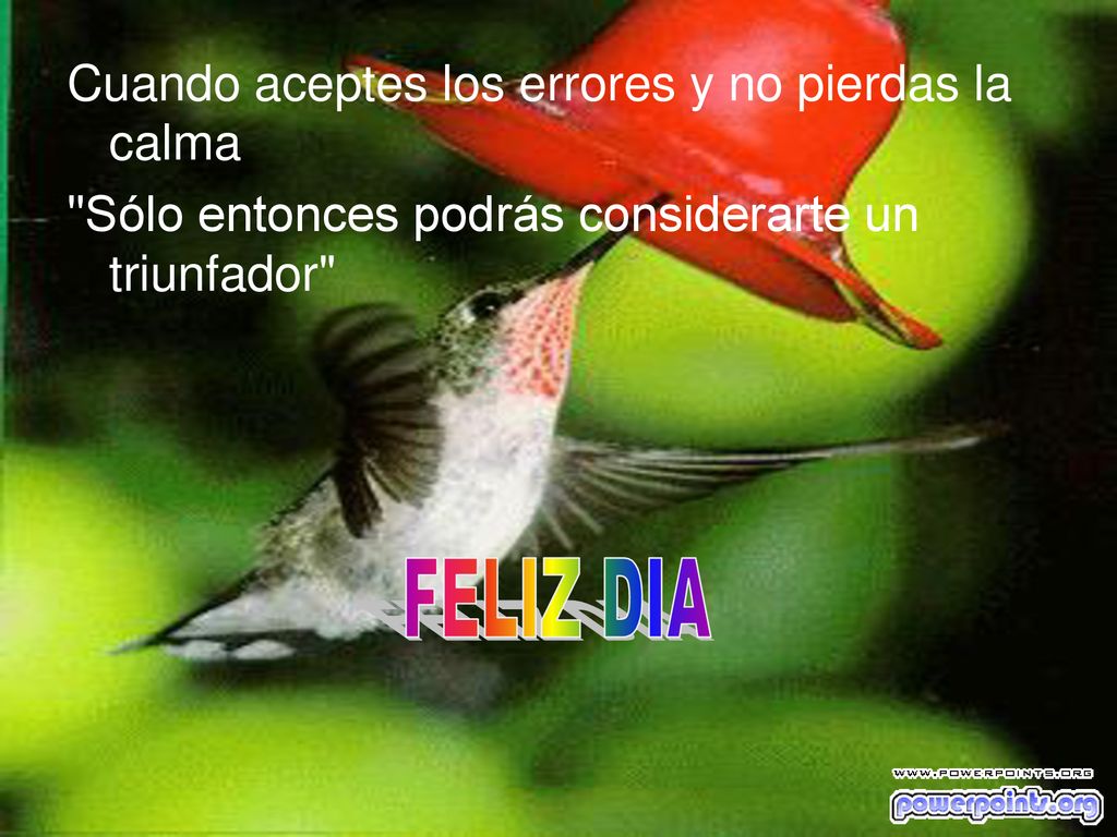 FELIZ DIA Cuando aceptes los errores y no pierdas la calma