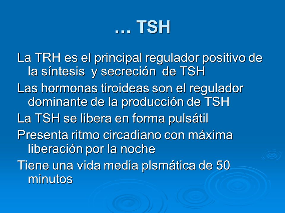… TSH La TRH es el principal regulador positivo de la síntesis y secreción de TSH.