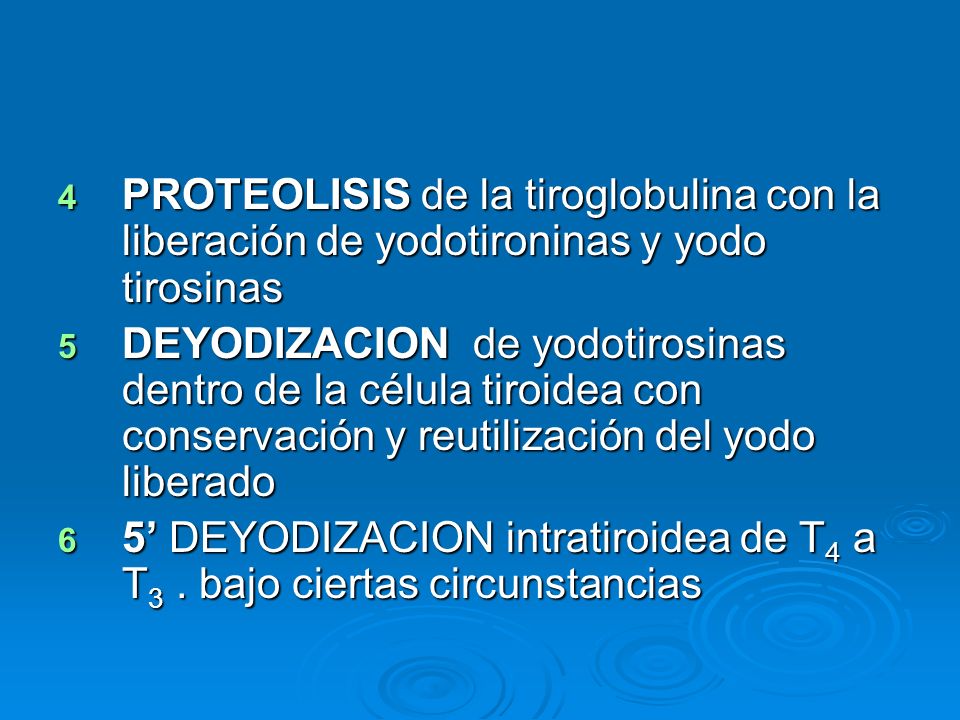 PROTEOLISIS de la tiroglobulina con la liberación de yodotironinas y yodo tirosinas