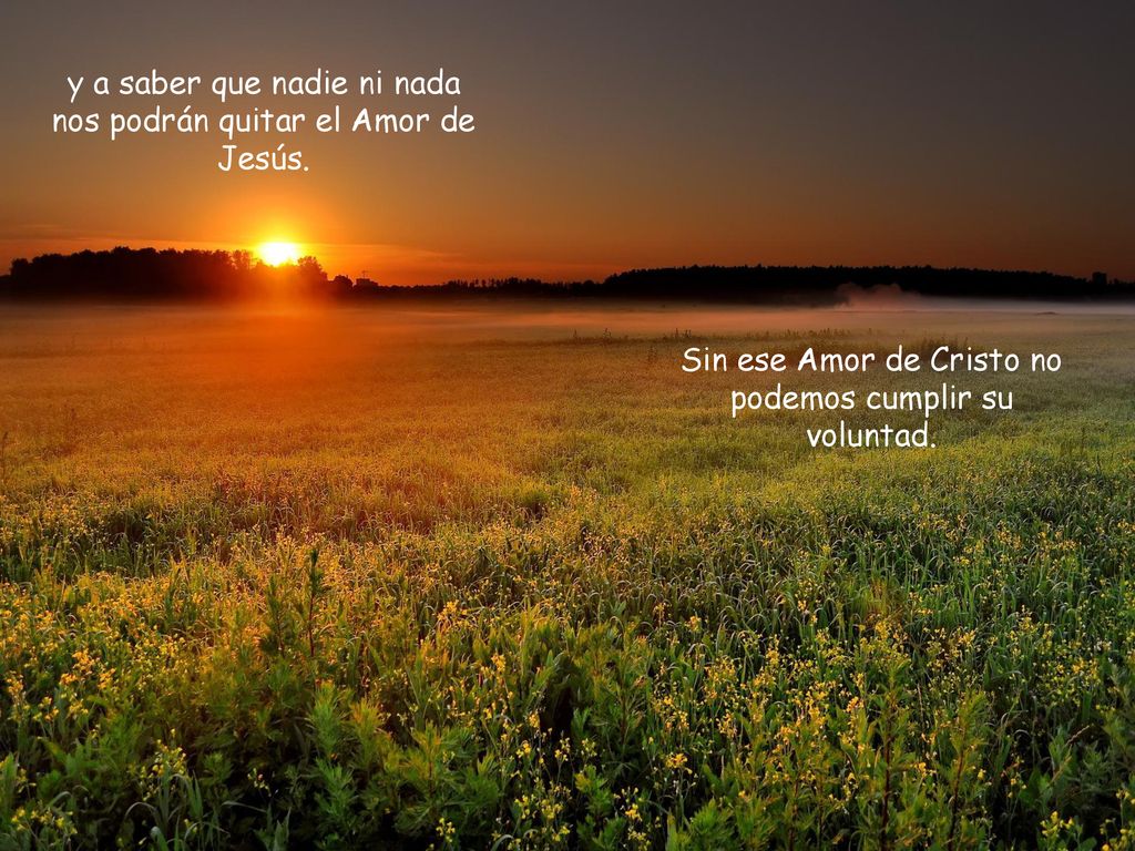 y a saber que nadie ni nada nos podrán quitar el Amor de Jesús.