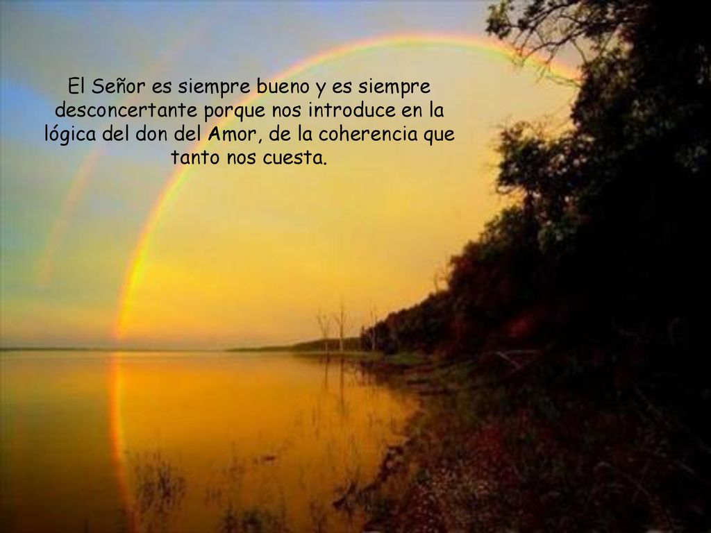 El Señor es siempre bueno y es siempre desconcertante porque nos introduce en la lógica del don del Amor, de la coherencia que tanto nos cuesta.