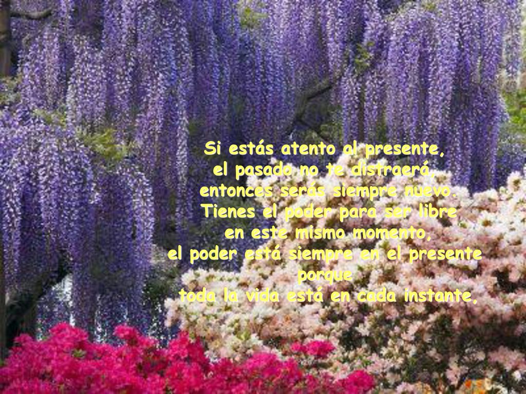 Si estás atento al presente, el pasado no te distraerá,