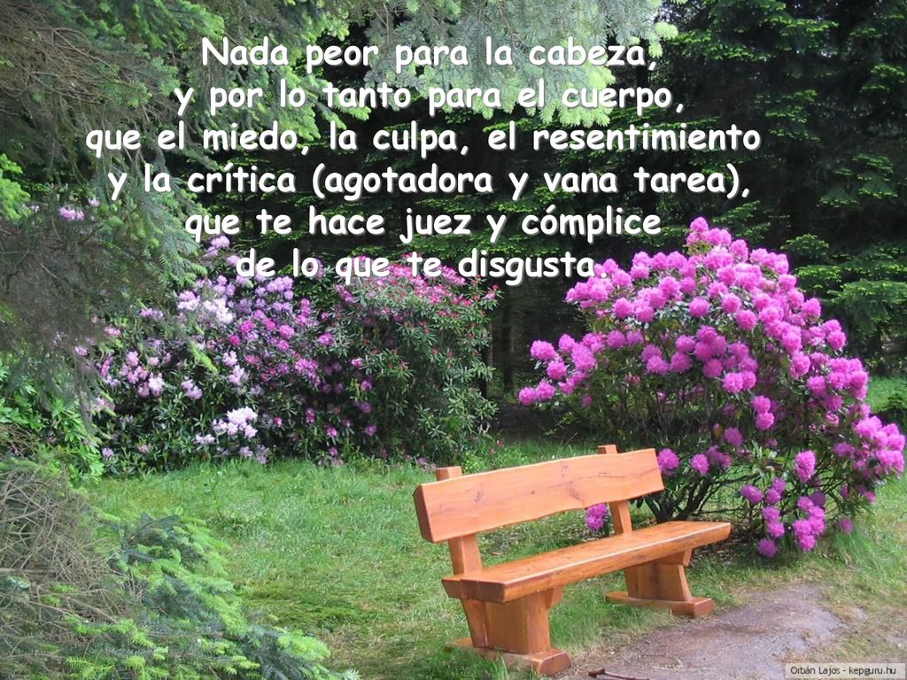 Nada peor para la cabeza, y por lo tanto para el cuerpo,