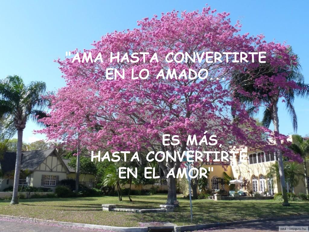 AMA HASTA CONVERTIRTE EN LO AMADO... ES MÁS, HASTA CONVERTIRTE EN EL AMOR