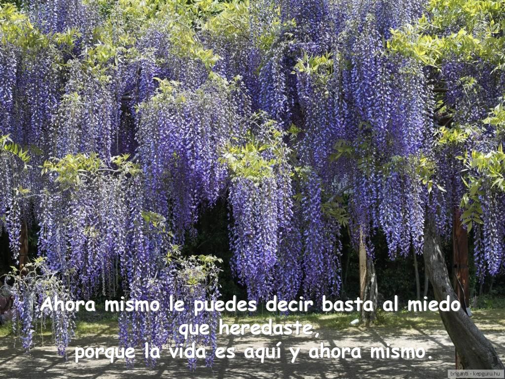 Ahora mismo le puedes decir basta al miedo que heredaste,
