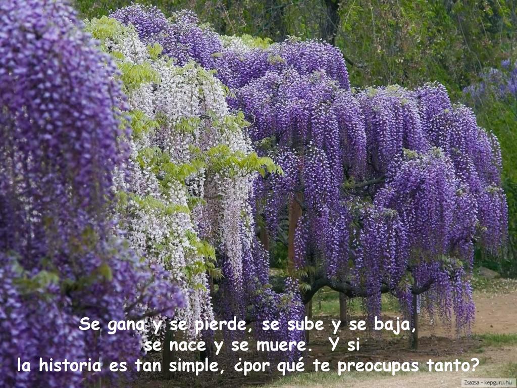 Se gana y se pierde, se sube y se baja, se nace y se muere. Y si