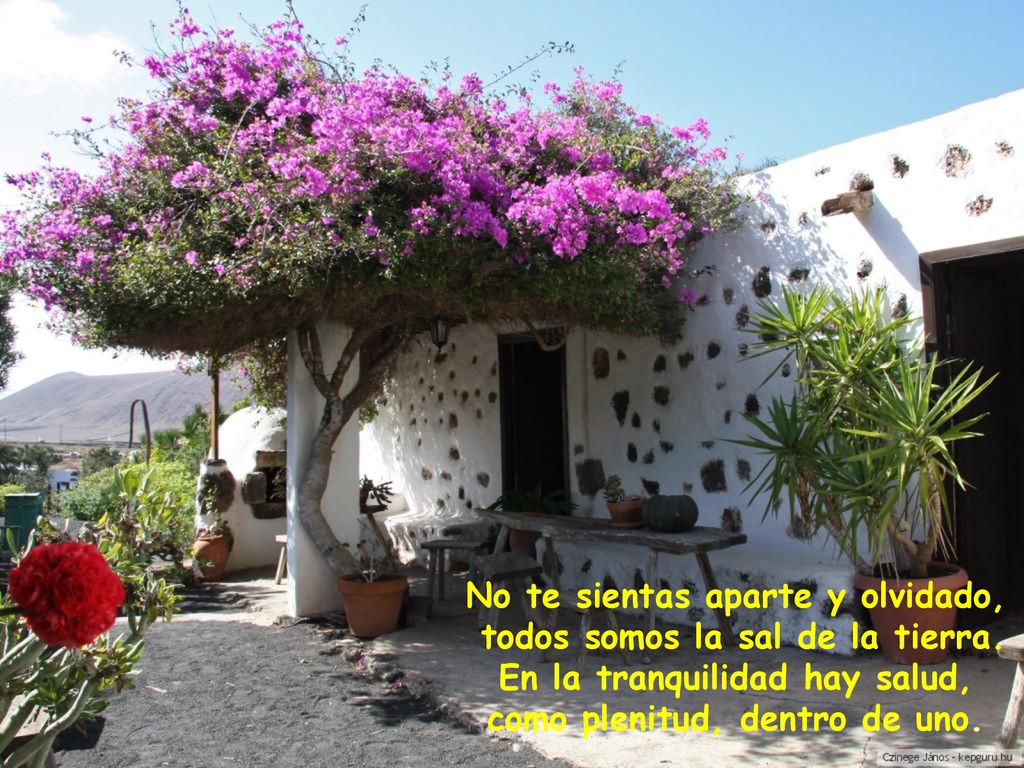 No te sientas aparte y olvidado, todos somos la sal de la tierra.