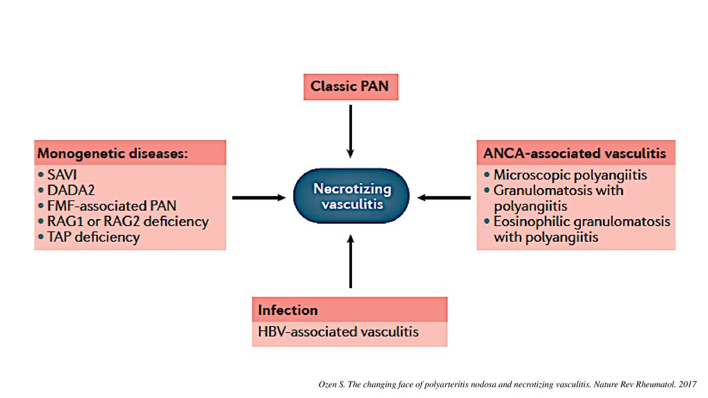 Ozen S. The changing face of polyarteritis nodosa and necrotizing vasculitis.