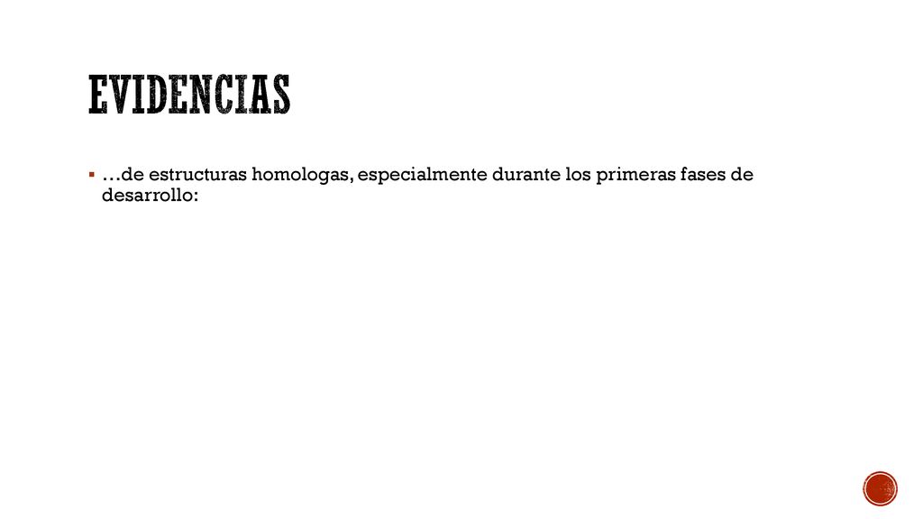 Evidencias …de estructuras homologas, especialmente durante los primeras fases de desarrollo: