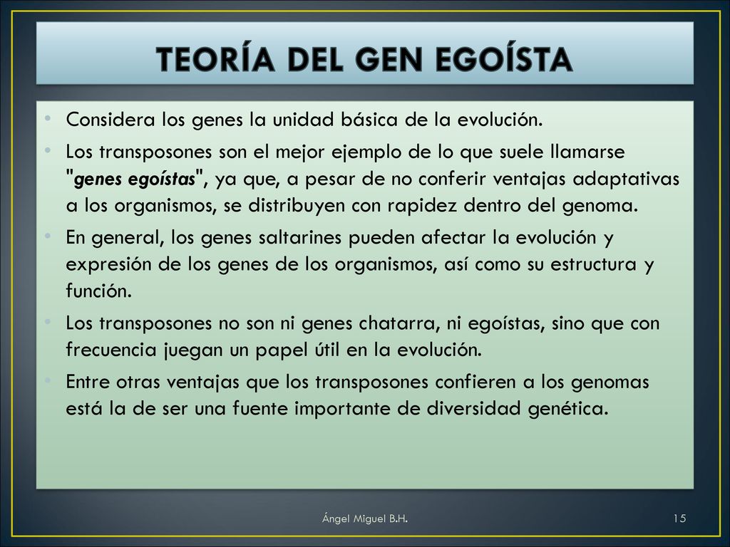 TEORÍA DEL GEN EGOÍSTA Considera los genes la unidad básica de la evolución.