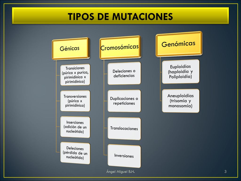 TIPOS DE MUTACIONES Génicas Cromosómicas Genómicas