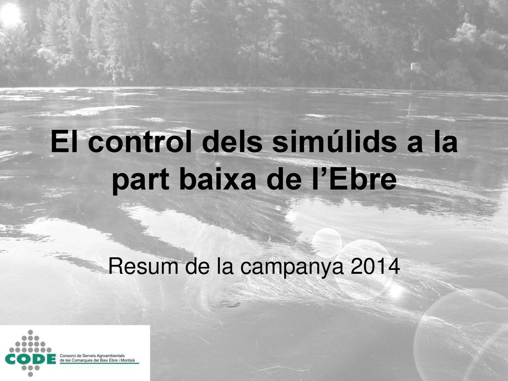 El control dels simúlids a la part baixa de l’Ebre