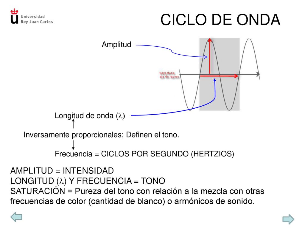 CICLO DE ONDA AMPLITUD = INTENSIDAD LONGITUD (l) Y FRECUENCIA = TONO