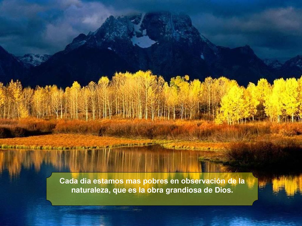 Cada dia estamos mas pobres en observación de la naturaleza, que es la obra grandiosa de Dios.