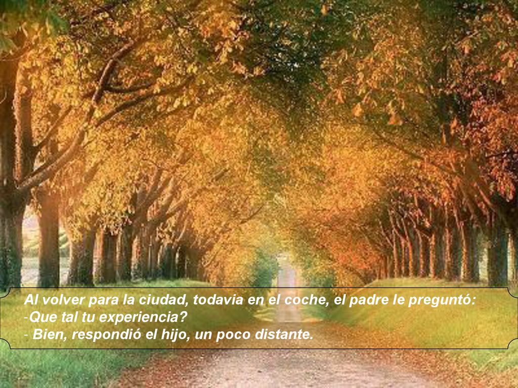 Al volver para la ciudad, todavia en el coche, el padre le preguntó: