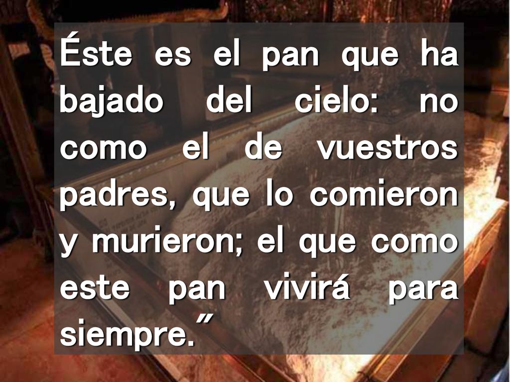 Éste es el pan que ha bajado del cielo: no como el de vuestros padres, que lo comieron y murieron; el que como este pan vivirá para siempre.