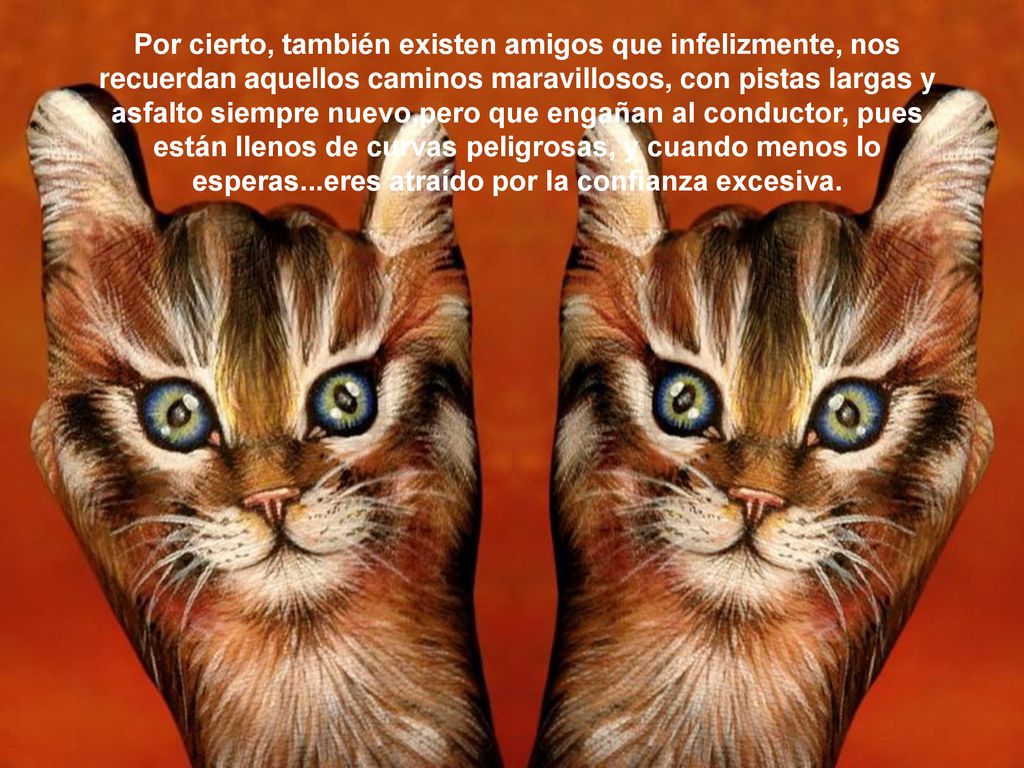Por cierto, también existen amigos que infelizmente, nos recuerdan aquellos caminos maravillosos, con pistas largas y asfalto siempre nuevo,pero que engañan al conductor, pues están llenos de curvas peligrosas, y cuando menos lo esperas...eres atraído por la confianza excesiva.