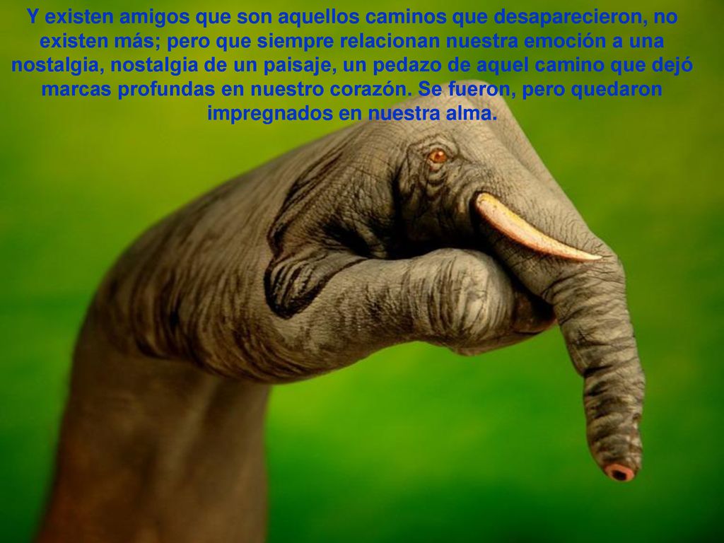 Y existen amigos que son aquellos caminos que desaparecieron, no existen más; pero que siempre relacionan nuestra emoción a una nostalgia, nostalgia de un paisaje, un pedazo de aquel camino que dejó marcas profundas en nuestro corazón.