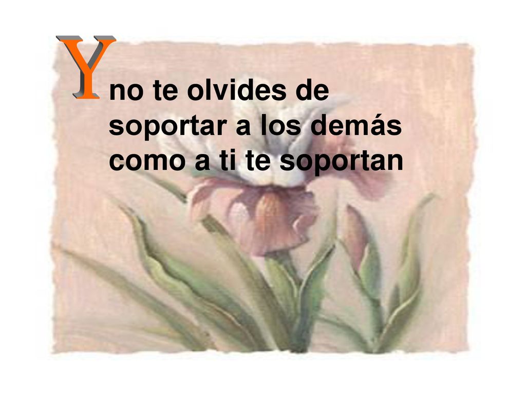 no te olvides de soportar a los demás como a ti te soportan