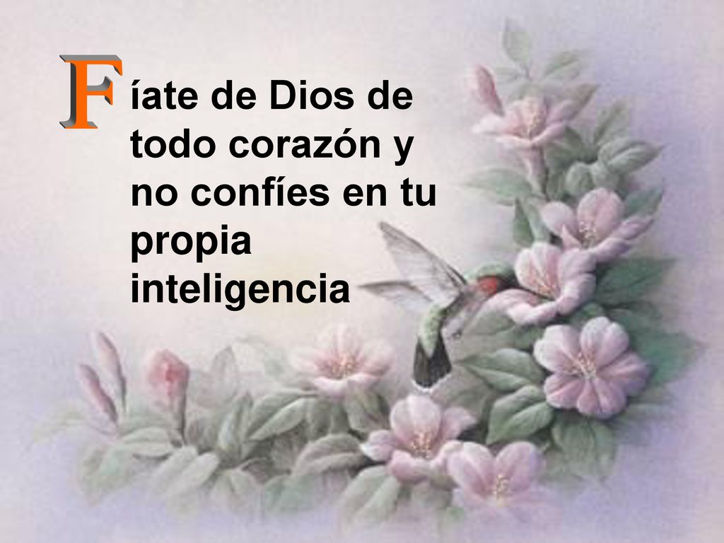 íate de Dios de todo corazón y no confíes en tu propia inteligencia