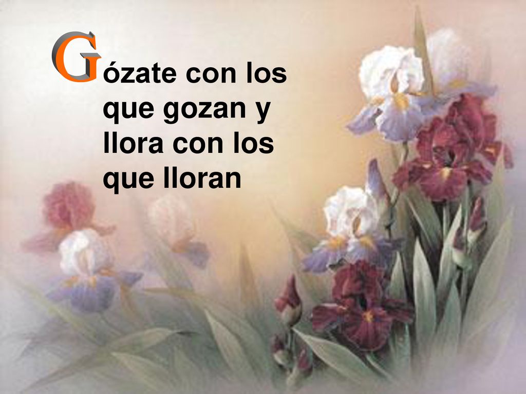 ózate con los que gozan y llora con los que lloran