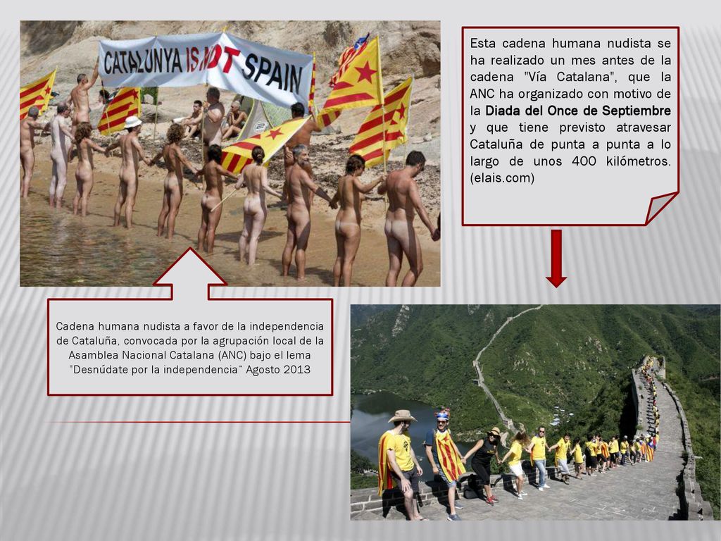 Esta cadena humana nudista se ha realizado un mes antes de la cadena Vía Catalana , que la ANC ha organizado con motivo de la Diada del Once de Septiembre y que tiene previsto atravesar Cataluña de punta a punta a lo largo de unos 400 kilómetros. (elais.com)