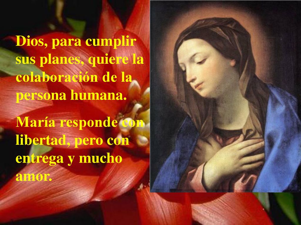 Dios, para cumplir sus planes, quiere la colaboración de la persona humana.