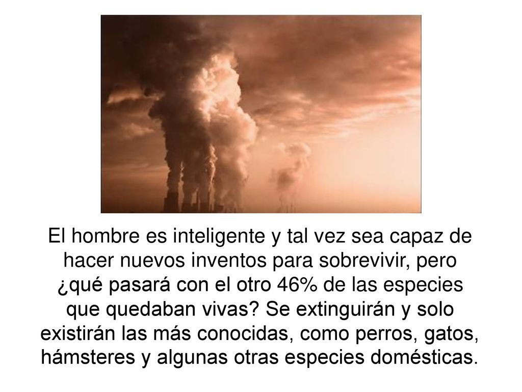 El hombre es inteligente y tal vez sea capaz de hacer nuevos inventos para sobrevivir, pero ¿qué pasará con el otro 46% de las especies que quedaban vivas.