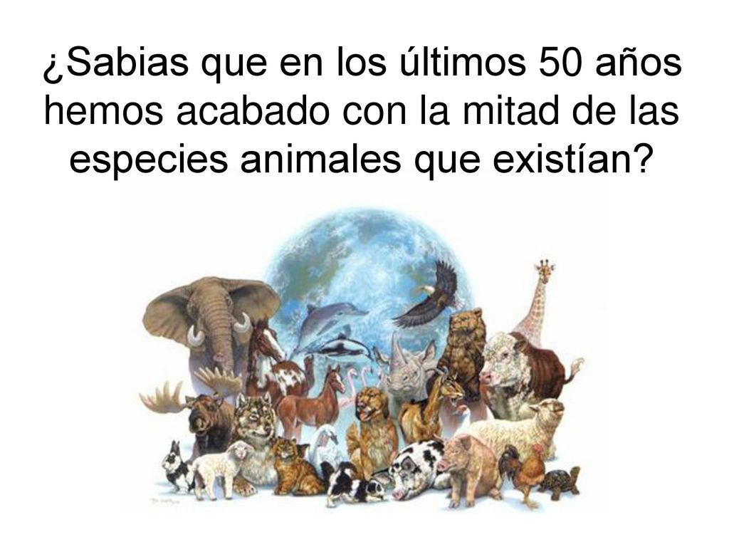 ¿Sabias que en los últimos 50 años hemos acabado con la mitad de las especies animales que existían