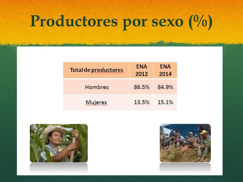 Productores por sexo (%)