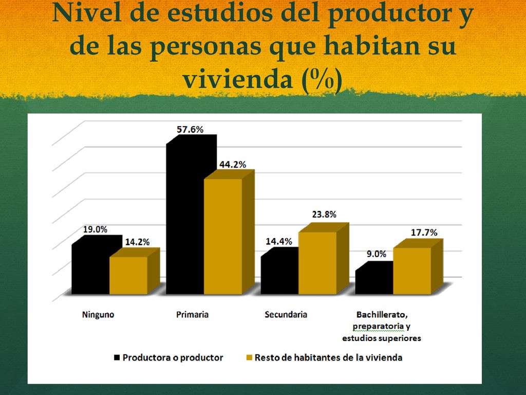 Nivel de estudios del productor y de las personas que habitan su vivienda (%)