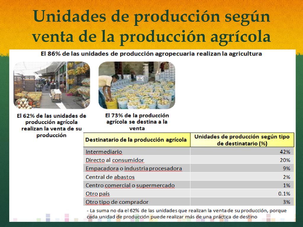 Tipos De Irrigación Utilizados - Ppt Descargar