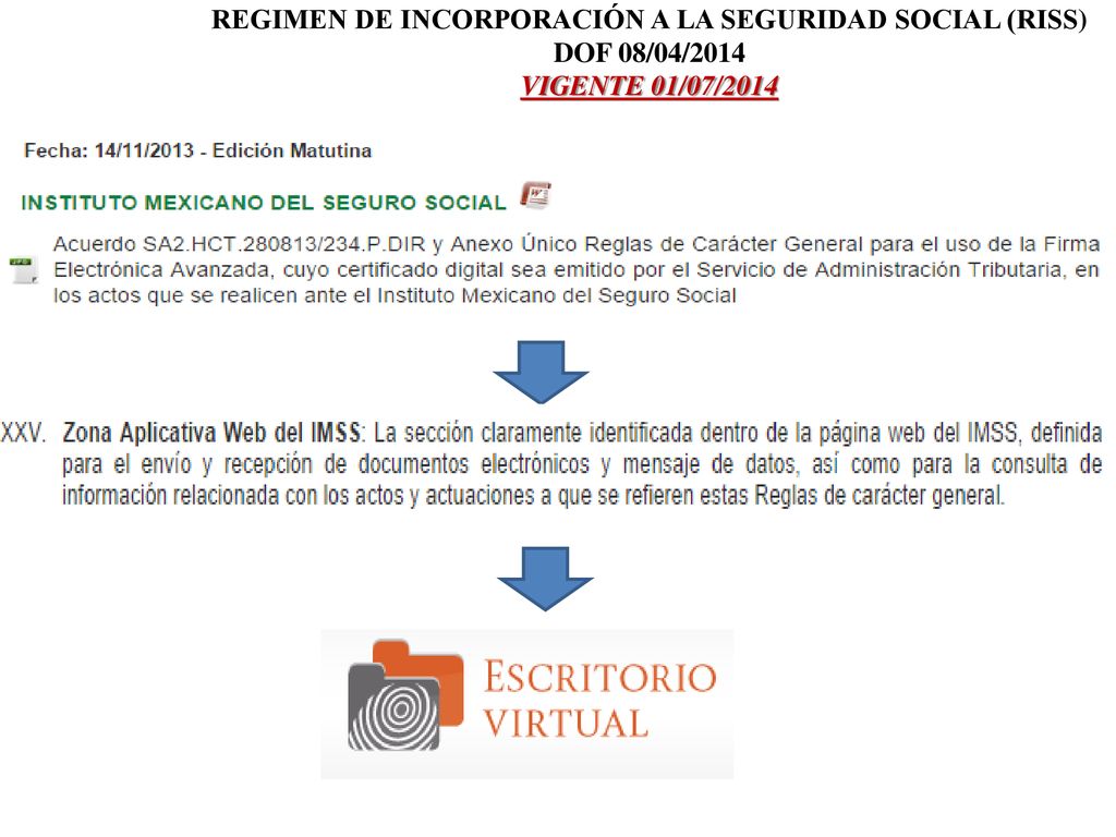 REGIMEN DE INCORPORACIÓN A LA SEGURIDAD SOCIAL (RISS)