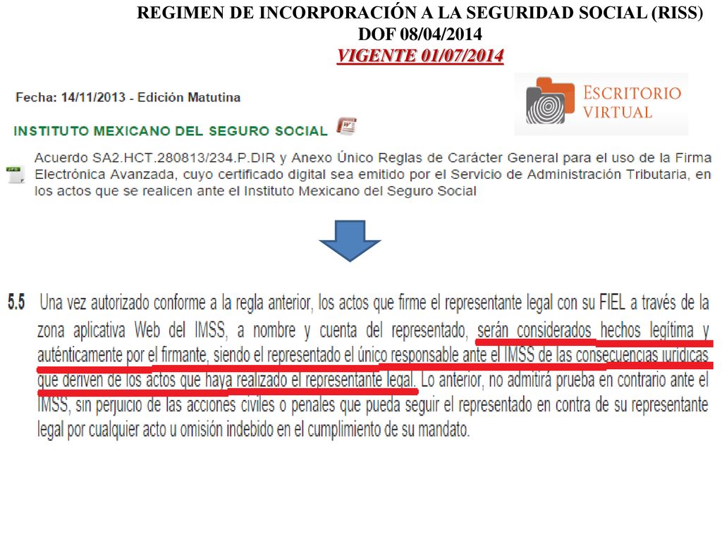 REGIMEN DE INCORPORACIÓN A LA SEGURIDAD SOCIAL (RISS)