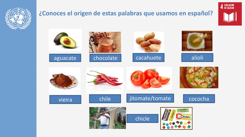 ¿Conoces el origen de estas palabras que usamos en español