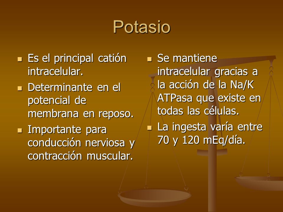 Potasio Es el principal catión intracelular.