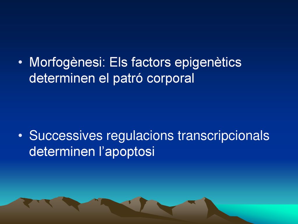 Morfogènesi: Els factors epigenètics determinen el patró corporal