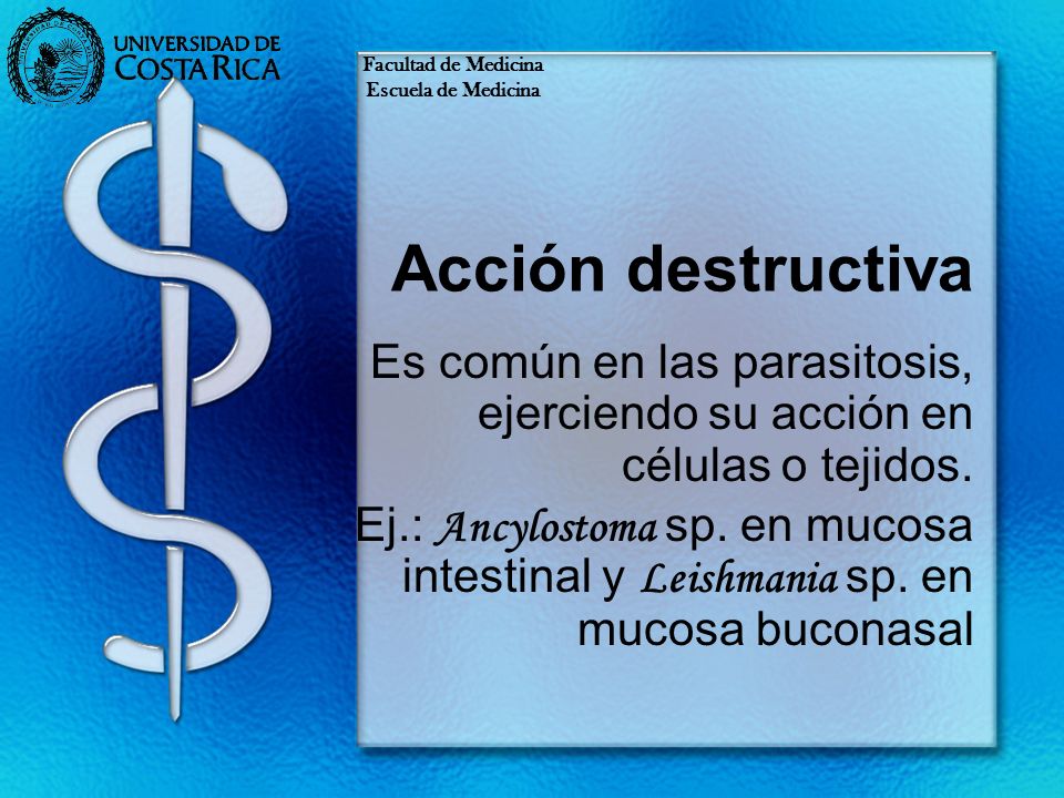 Facultad de Medicina Escuela de Medicina. Acción destructiva. Es común en las parasitosis, ejerciendo su acción en células o tejidos.