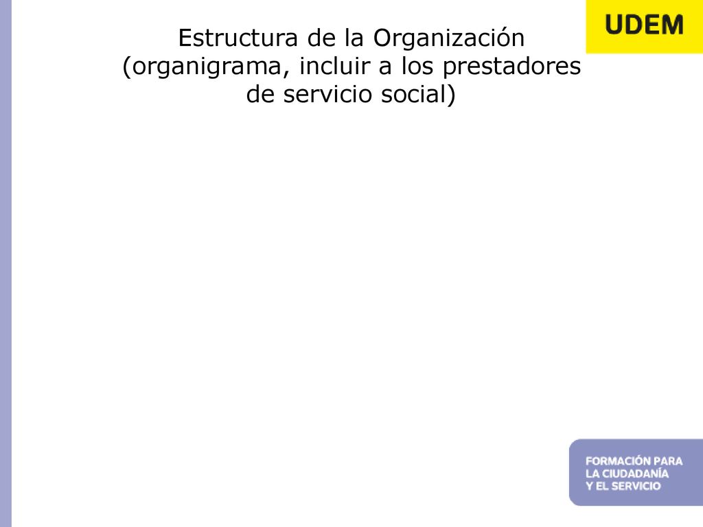 Estructura de la Organización (organigrama, incluir a los prestadores de servicio social)
