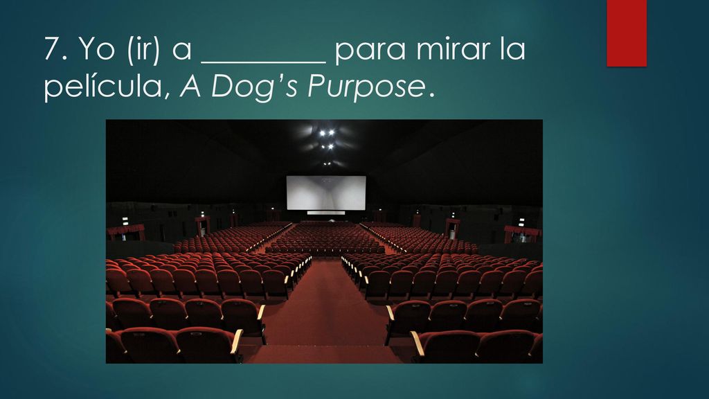 7. Yo (ir) a ________ para mirar la película, A Dog’s Purpose.