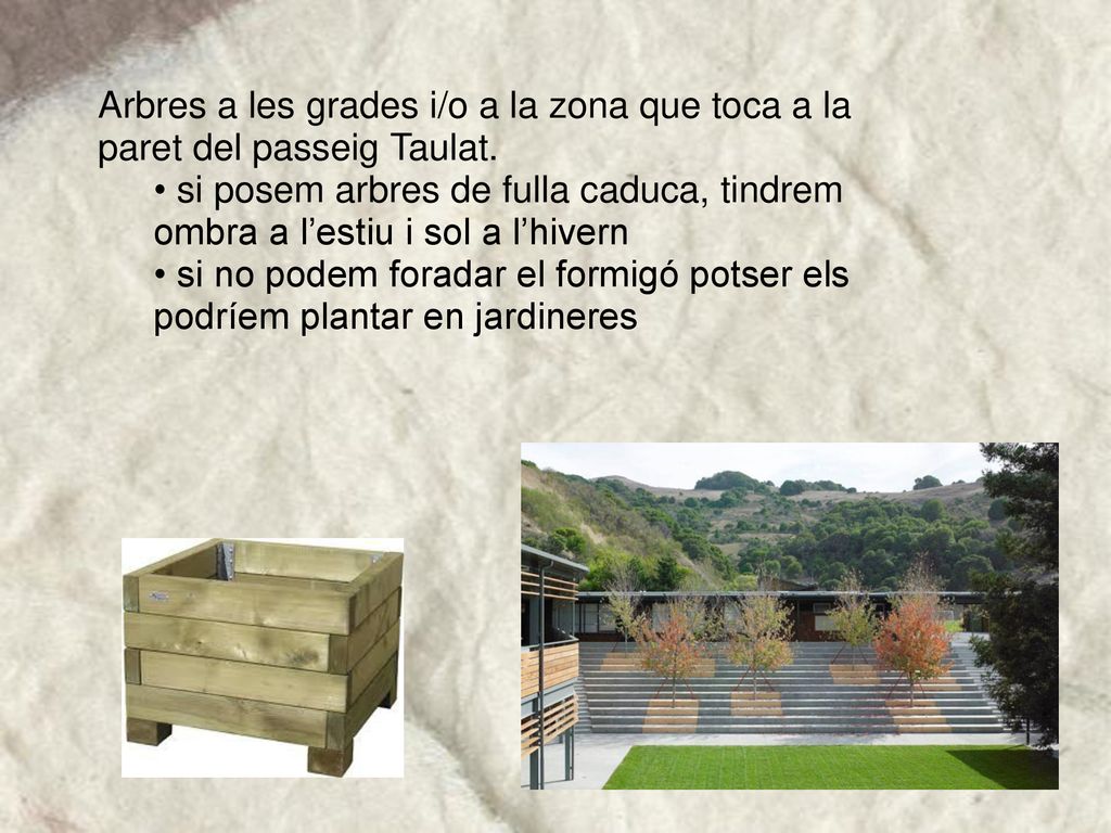 Arbres a les grades i/o a la zona que toca a la paret del passeig Taulat.