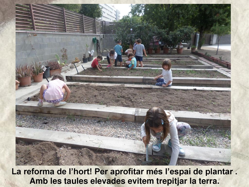 La reforma de l’hort. Per aprofitar més l’espai de plantar