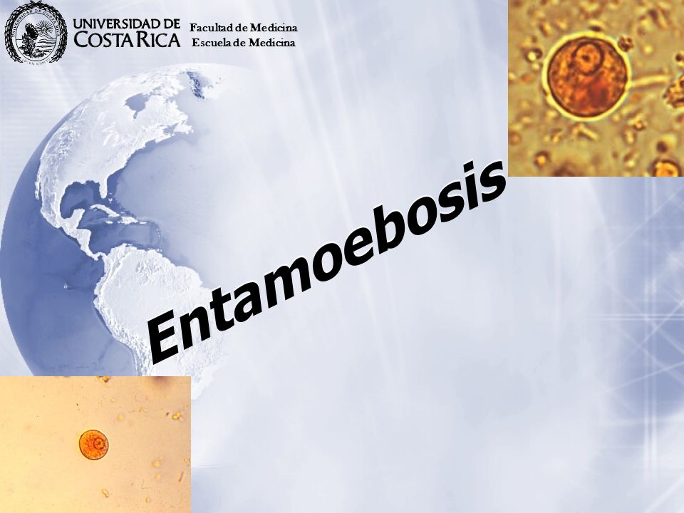 Facultad de Medicina Escuela de Medicina Entamoebosis