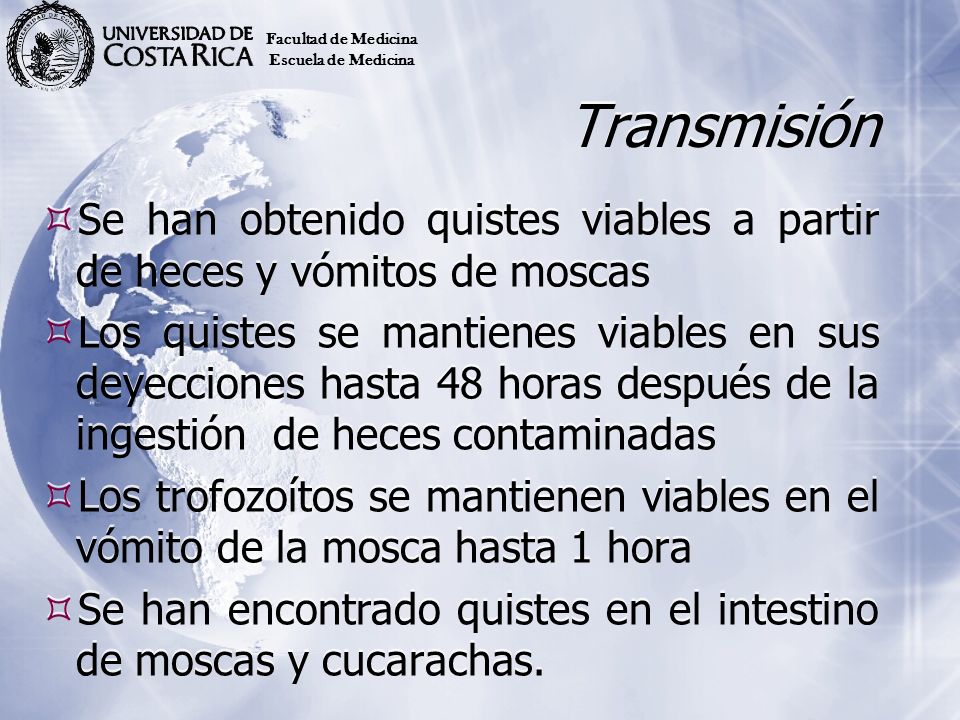 Facultad de Medicina Escuela de Medicina. Transmisión. Se han obtenido quistes viables a partir de heces y vómitos de moscas.