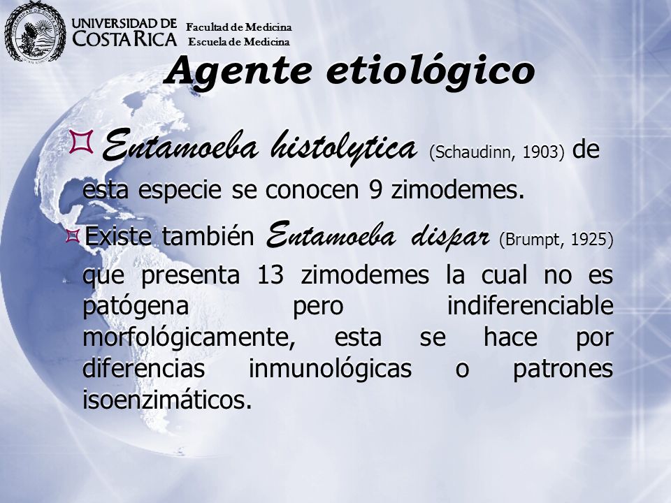 Facultad de Medicina Escuela de Medicina. Agente etiológico. Entamoeba histolytica (Schaudinn, 1903) de esta especie se conocen 9 zimodemes.