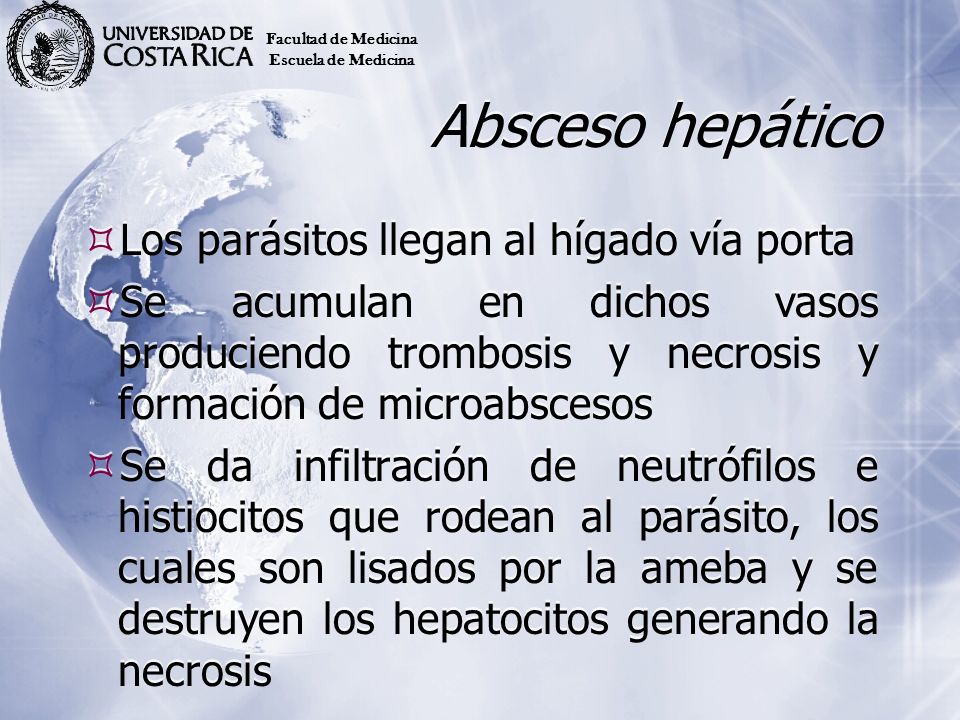 Absceso hepático Los parásitos llegan al hígado vía porta