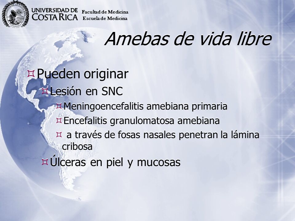 Amebas de vida libre Pueden originar Lesión en SNC