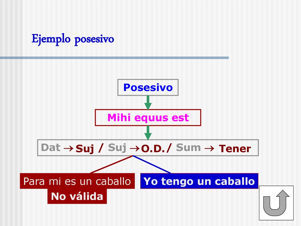 Ejemplo posesivo Posesivo Mihi equus est Dat  / Suj  / Sum  Suj